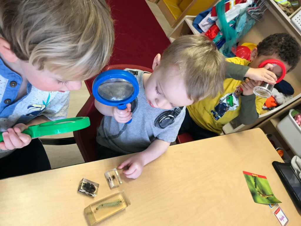 children examining bugs through magnifying glass